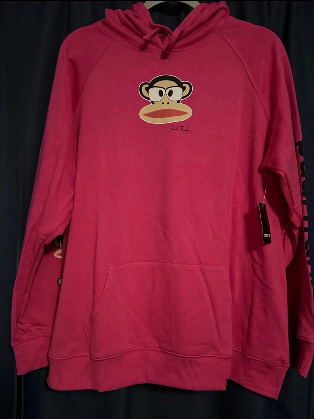 Torrid Paul Frank Hoodie